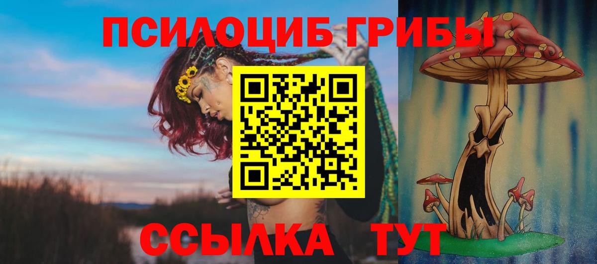 Псилоцибиновые грибы GOLDEN TEACHER Каменск-Шахтинский